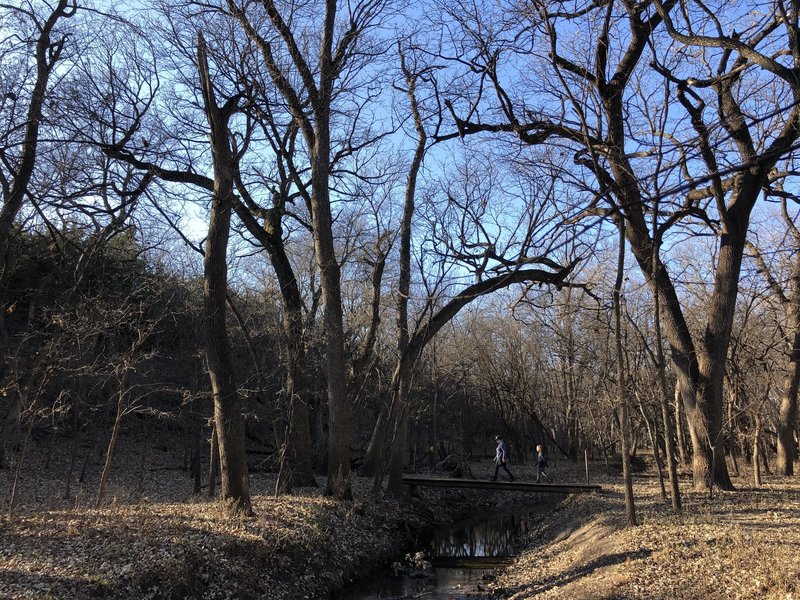 Crossing the Spring Creek