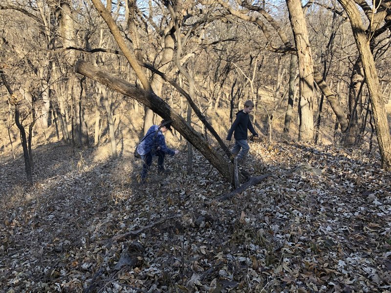 Steep switchback for the area, relatively speaking