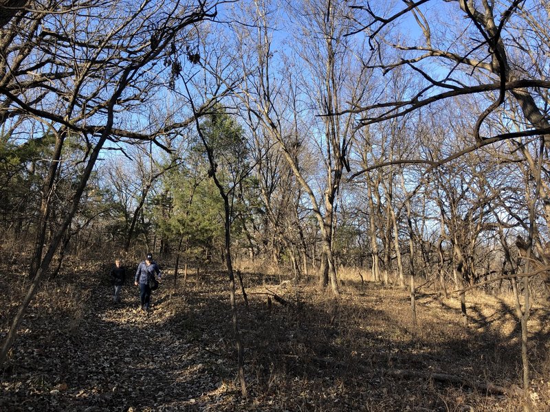 The Lost Prairie trail is my favorite for all the elevation change it offers!