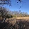 The meadow has a trail all around it's perimeter.