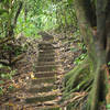 There are a series of stairs that you have to climb along the World War 2 Heritage trail. These date back to the 1940s and allowed soldiers to traverse the ridge line.