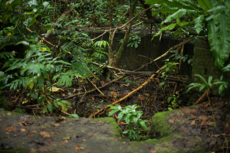 Other batteries and fortifications are not as well preserved, but you can definitely tell where the batteries were.  The forest has started to reclaim the area.