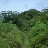 The last half mile to a mile is pretty exposed as the forest opens up around the trail, so proper sun protection is recommended.