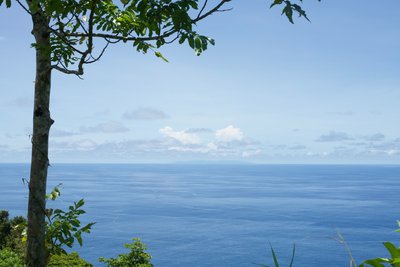 Western Samoa can be seen through a break in the trees.