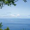 Western Samoa can be seen through a break in the trees.