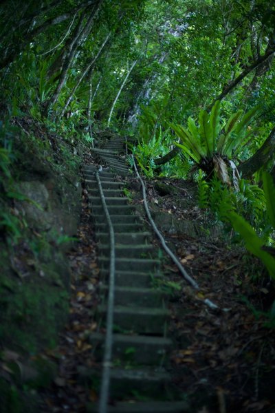 The stairs and ropes ("ladders") make this part of the trail difficult. Take your time and enjoy the adventure.