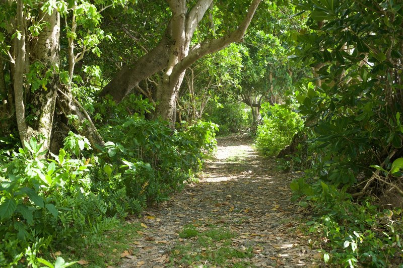 The Pola Island trail follows an old road. You can drive out part of this road if you want, but a high clearance vehicle would be recommended.