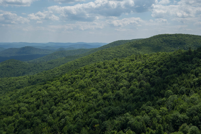 Burnt Meadow Mountain Loop by Andy Thrasher (https://www.flickr.com/photos/athrasher/) under Public Domain (https://creativecommons.org/publicdomain/zero/1.0/).