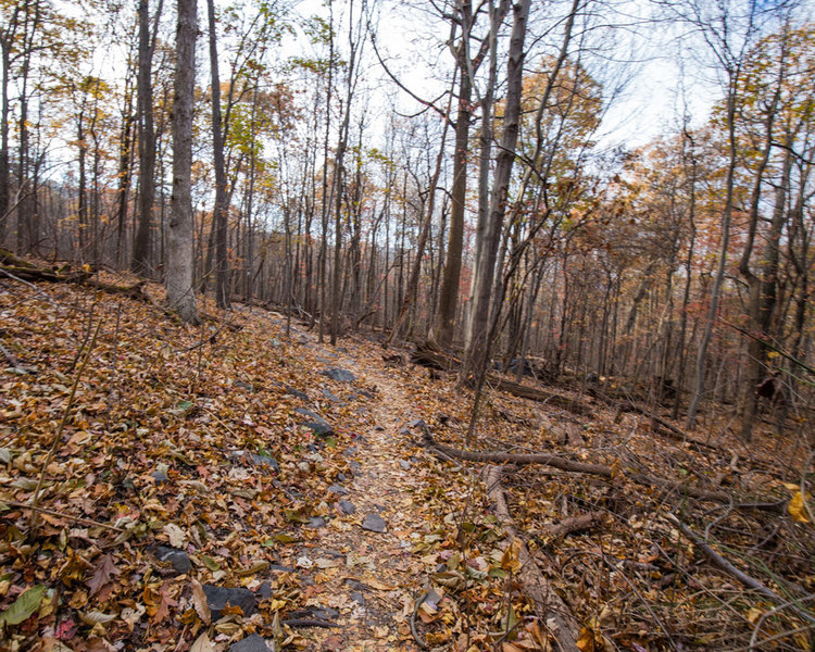 Mid November view of the Raven Rocks Trail.