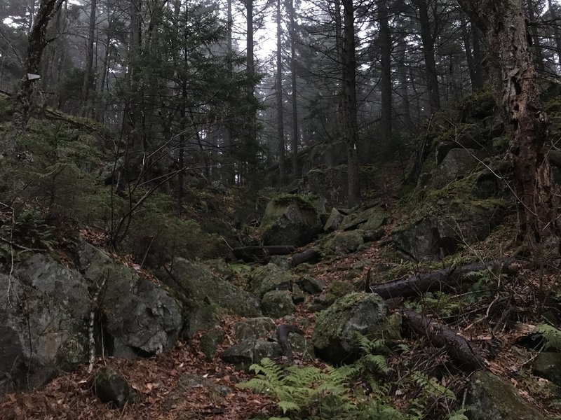 A jumbled mass of rocks that compose the trail.