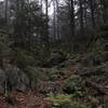 A jumbled mass of rocks that compose the trail.