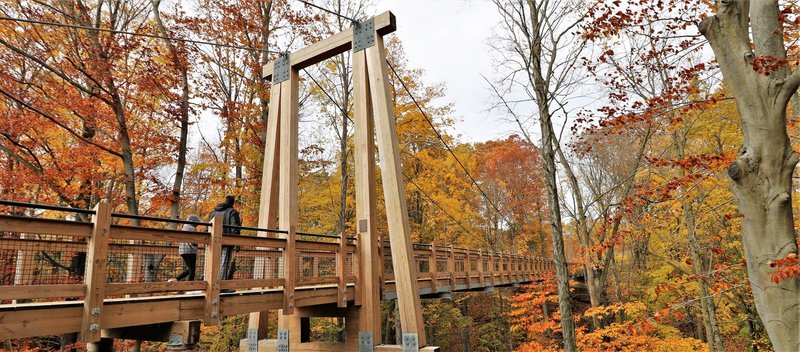 Grand Ravines Suspension Bridge – fall" by Mike Lozon. Courtesy of Ottawa County Parks & Recreation.