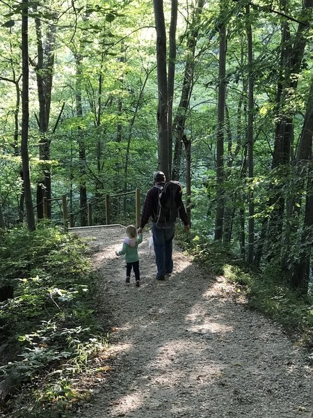 Grand Ravines – Statema Woodland Trail." Courtesy of Ottawa County Parks & Recreation.