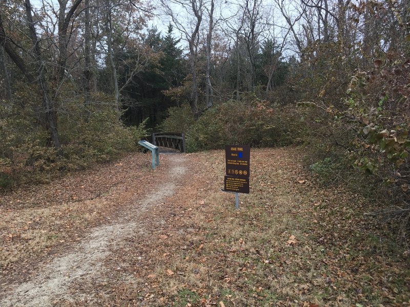 The trailhead and the initial bridge leading to the first hill.