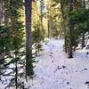 Snowshoeing Waldrop Trail