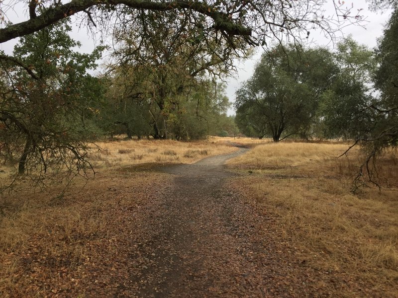 Riverview Trail