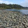 Banks of the American River