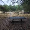 Bench along Riverview Trail