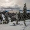 Chickadee Ridge, Lake Tahoe, NV. Jan2019