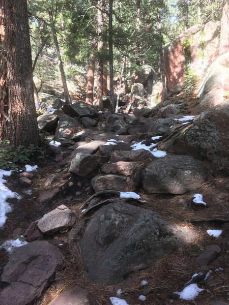 This is what Shadow Canyon Trail looks like, mostly.  Steep and rocky.