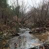 One of the largest creek crossings you encounter along the way!