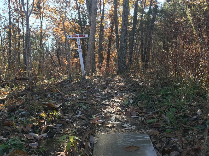 The trailhead is basically right off the road.