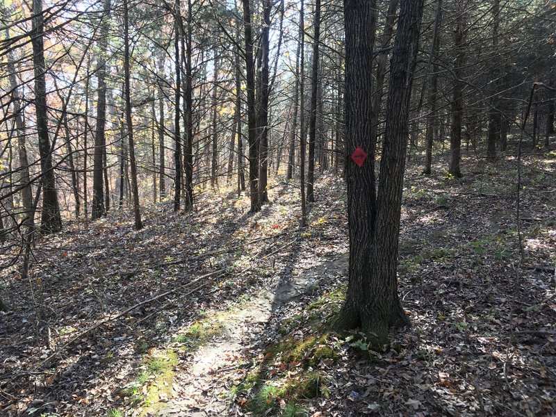 Look for these little red markers, there are only two or three on the loop.