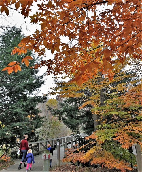 Hemlock Crossing - Trails in the fall" by Mike Lozon. Photo courtesy of Ottawa County Parks & Recreation.