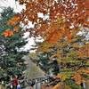 Hemlock Crossing - Trails in the fall" by Mike Lozon. Photo courtesy of Ottawa County Parks & Recreation.