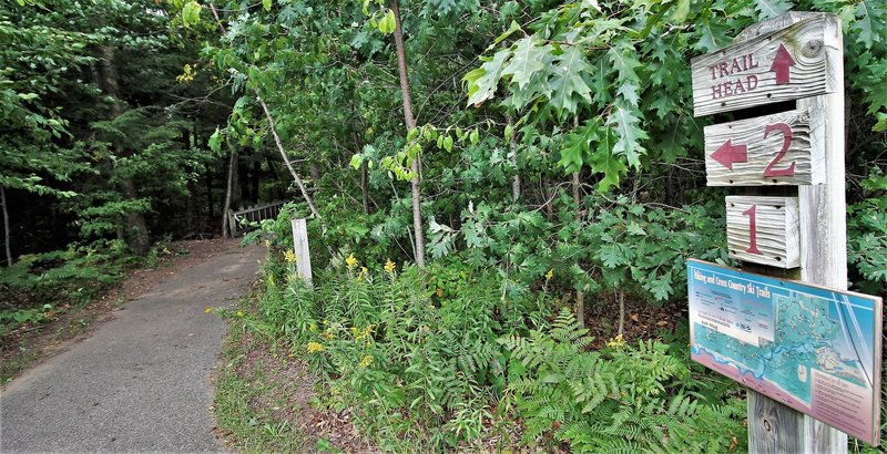 Trail Intersection #1" by Mike Lozon. Photo courtesy of Ottawa County Parks & Recreation.