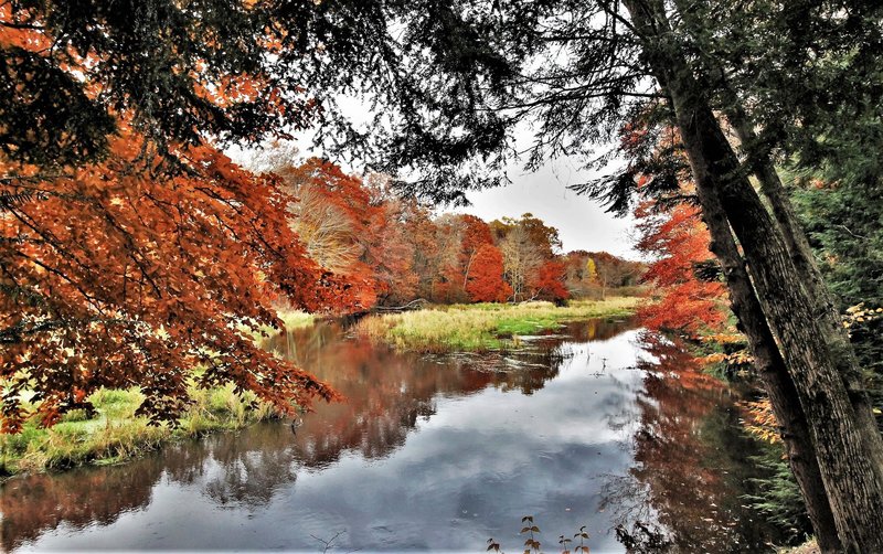 Pigeon River in Fall" by Mike Lozon. Photo courtesy of Ottawa County Parks & Recreation.