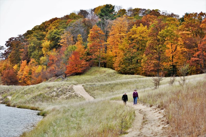 Lakeside trail in fall" by Mike Lozon. Photo courtesy of Ottawa County Parks & Recreation.