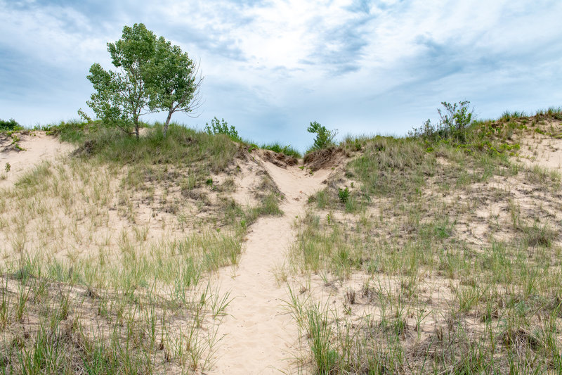 Photo courtesy of MI Dept. of Natural Resources. © 2018 State of Michigan