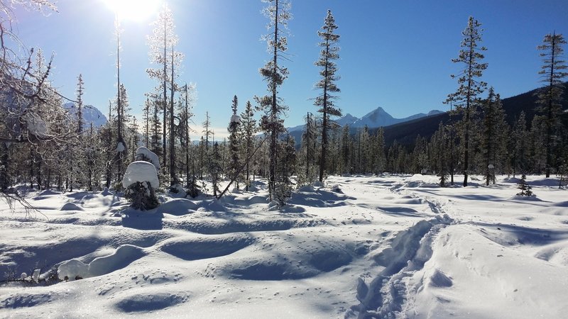 Snowshoeing towards Emerald Basin, looking south, November 2015