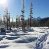 Snowshoeing towards Emerald Basin, looking south, November 2015