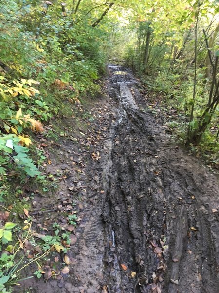 Lots of recent rain can muck up the trail.