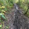 Lots of recent rain can muck up the trail.