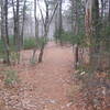 Undercliff Path near Needham's Crossing" courtesy of the Lynn Woods Ranger.