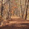 The trail quietly winds through Alexander's Ford