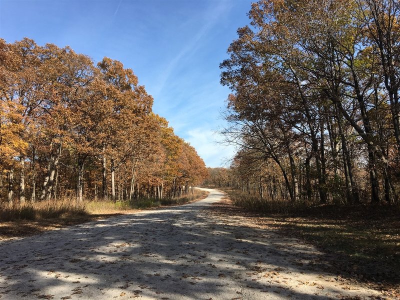 The parking area at the trailhead!  Plenty of space!