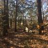 Rounding the corner at the Indian Burial Cairn!