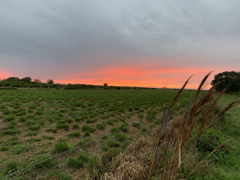 Blazing orange sunset along the Florida Trail