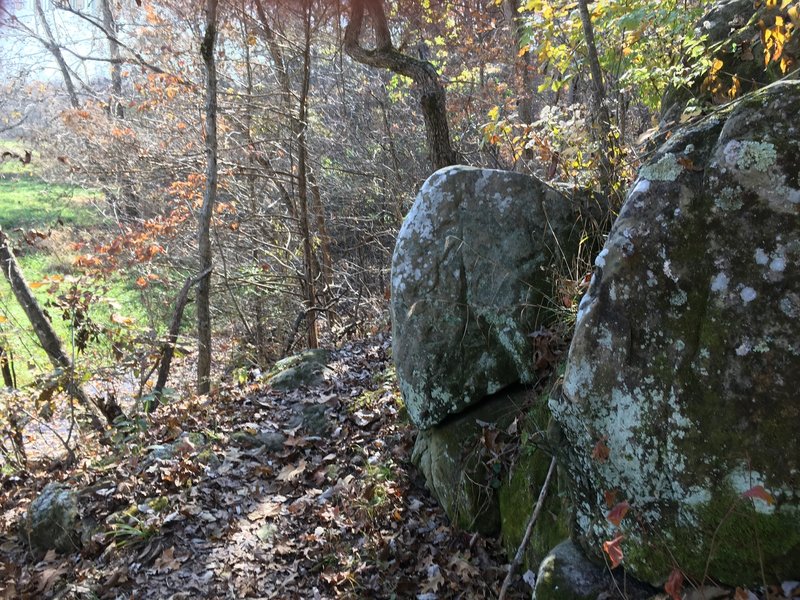 Some of the only boulders found on this trail. Unfortunately they're too small to climb or have any fun on!