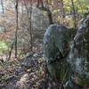 Some of the only boulders found on this trail. Unfortunately they're too small to climb or have any fun on!