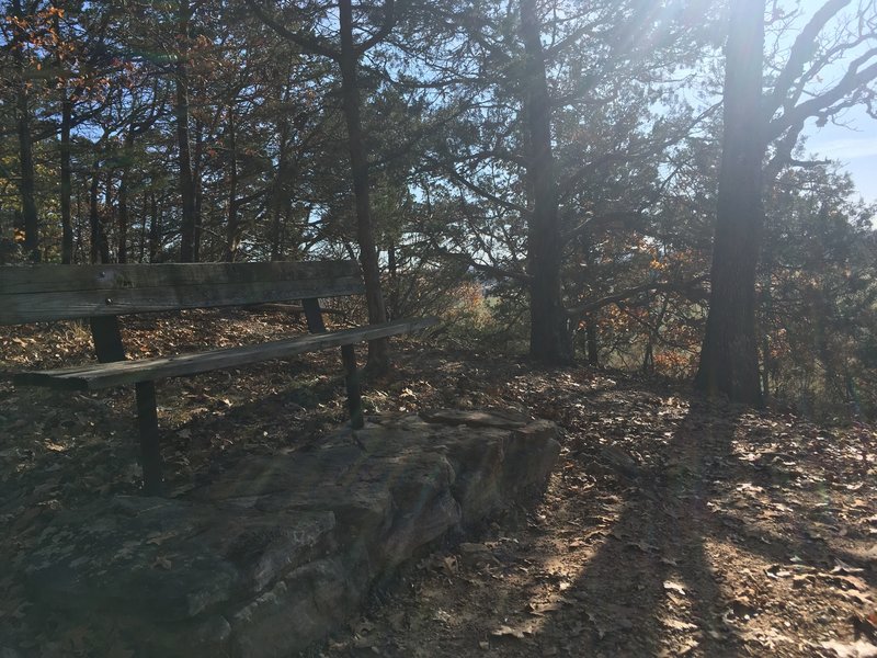 There are several benches along this trail that are great spots for relaxing!