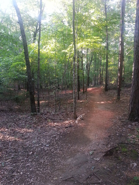 Winding section on Firebreak