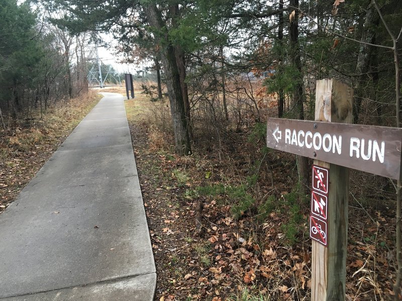 One of the two starting points of Raccoon Run!