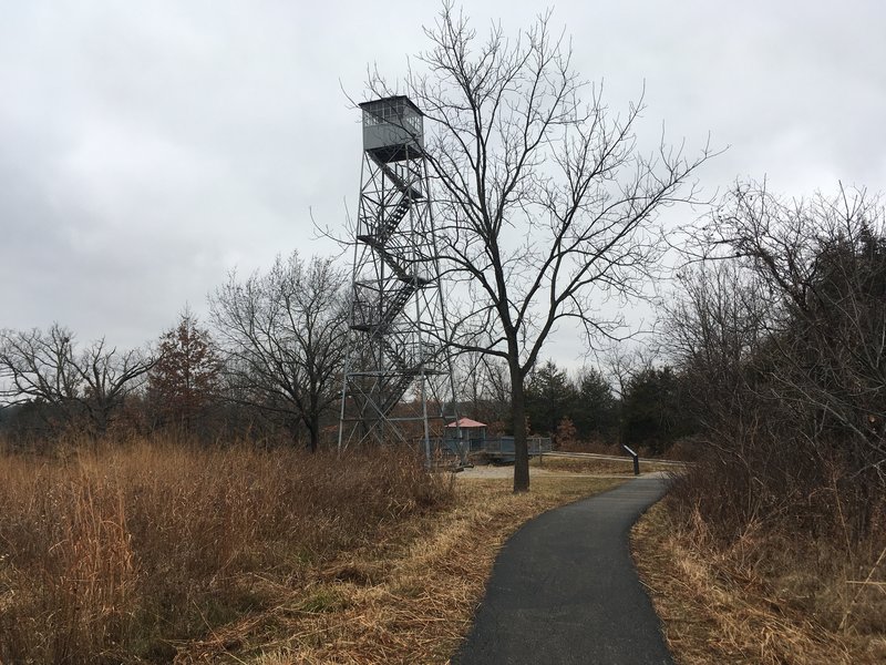 First sight of the tower from Raccoon Run.