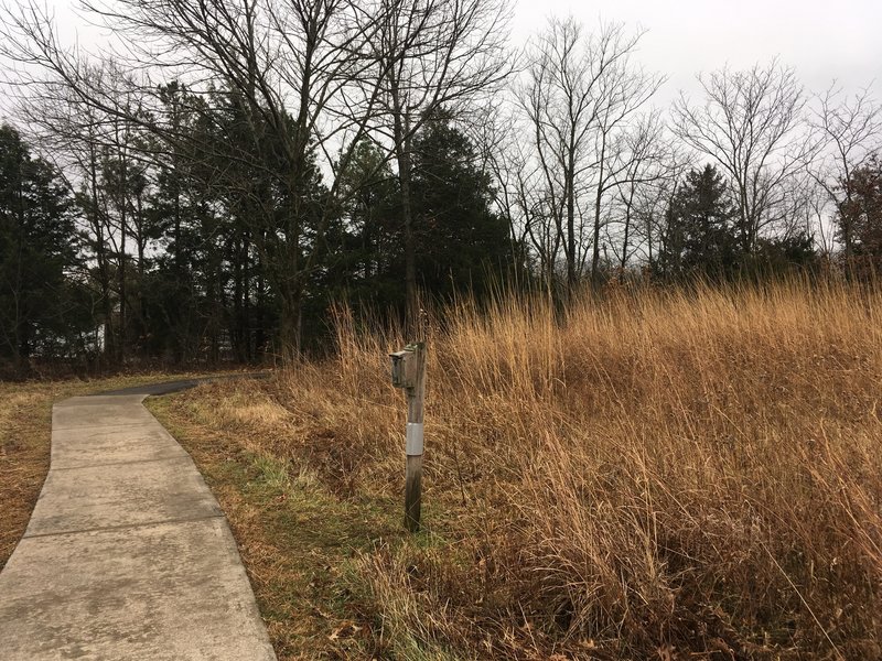 One of the many bird feeders you'll pass on this trail.