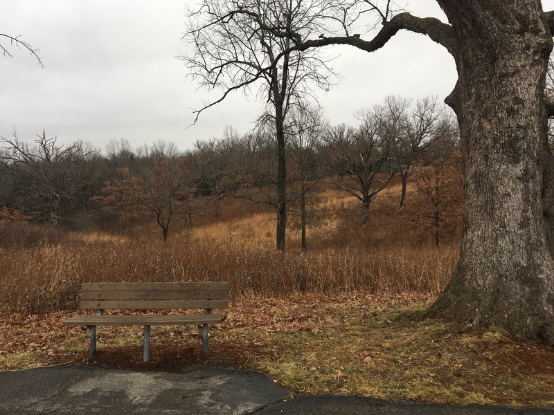 There are many benches similar to this one along this trail.